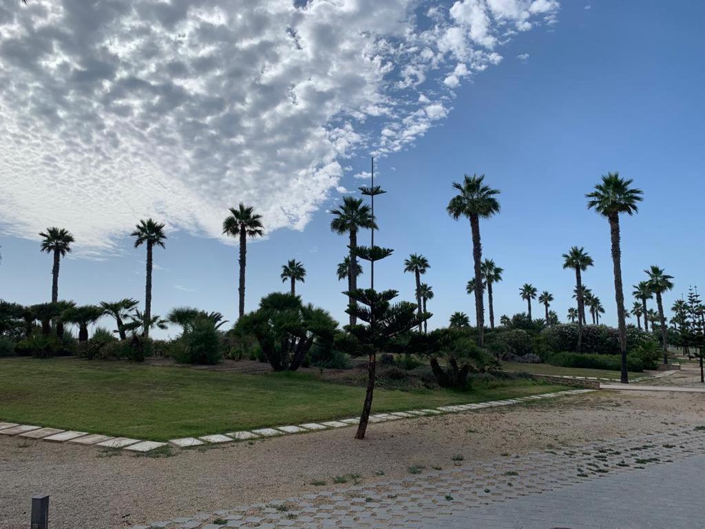 Costa Ballena, 1ª Linea De Playa 3 Dorm Y Parking 외부 사진