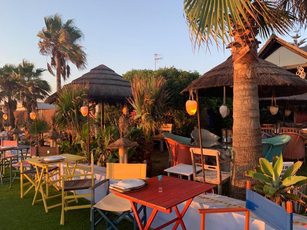 Costa Ballena, 1ª Linea De Playa 3 Dorm Y Parking 외부 사진